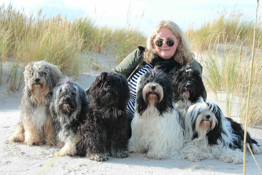 Tibet Terrier Tibet Terrier